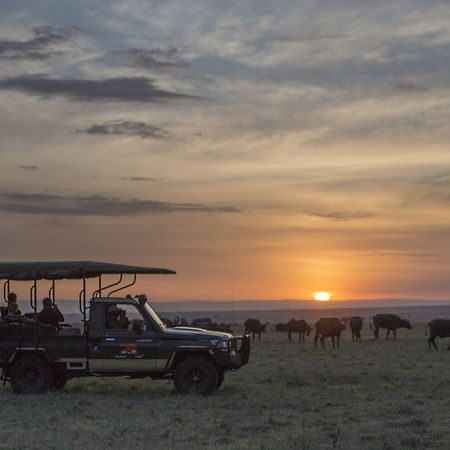 Elephant Pepper Camp マサイマラ国立保護区 エクステリア 写真