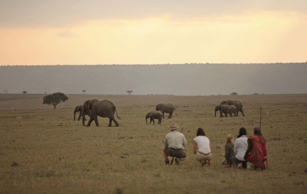 Elephant Pepper Camp マサイマラ国立保護区 エクステリア 写真