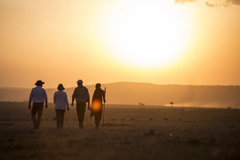 Elephant Pepper Camp マサイマラ国立保護区 エクステリア 写真